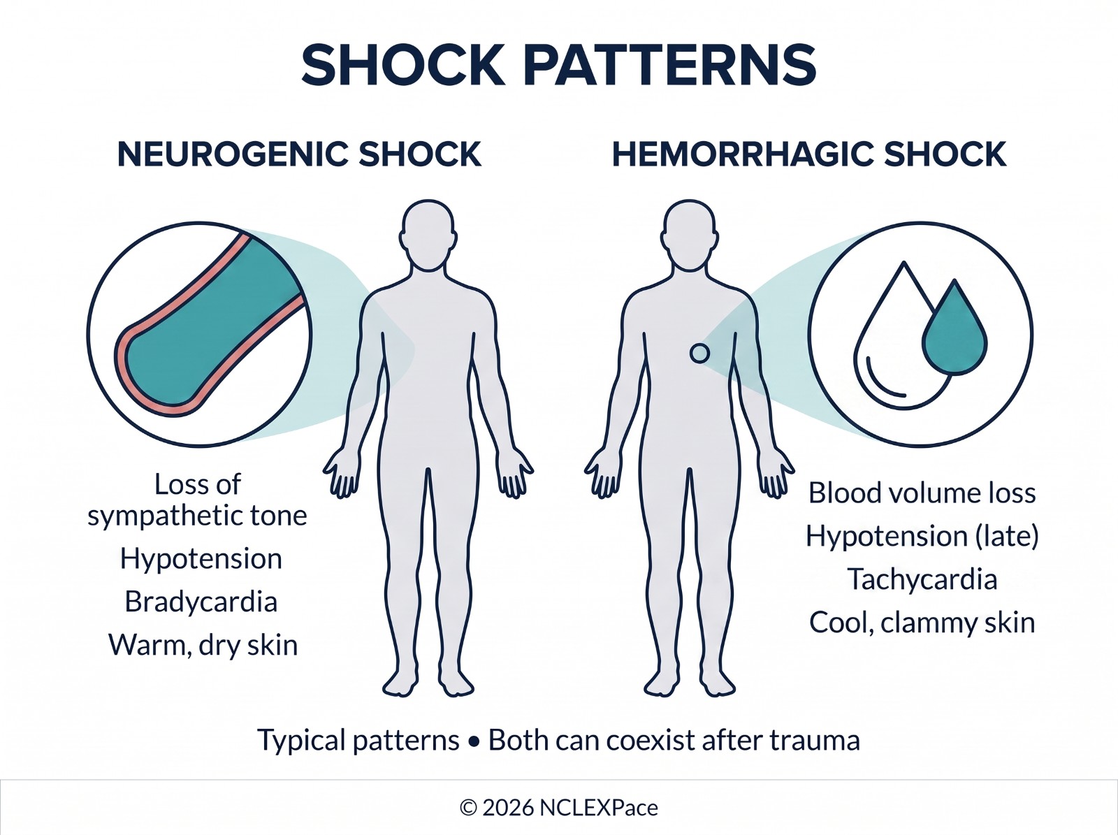 Comparison of shock types by their distinguishing features: skin warm or cool, heart rate fast or slow, and the cause behind each pattern