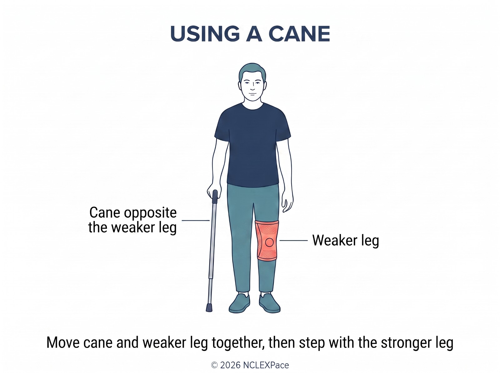 Using a cane: the cane is held on the side opposite the weaker leg; cane and weaker leg move together, then the stronger leg steps